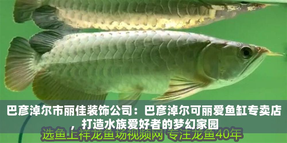 巴彥淖爾市麗佳裝飾公司：巴彥淖爾可麗愛魚缸專賣店，打造水族愛好者的夢幻家園 巴彥淖爾市麗佳裝飾公司：巴彥淖爾可麗愛魚缸專賣店，打造水族愛好者的夢幻家園 iwish愛唯希品牌魚缸 第1張
