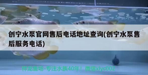 創寧水泵官網售后電話地址查詢(創寧水泵售后服務電話)