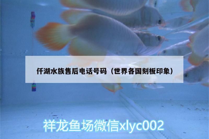 仟湖水族售后電話號碼（世界各國刻板印象）