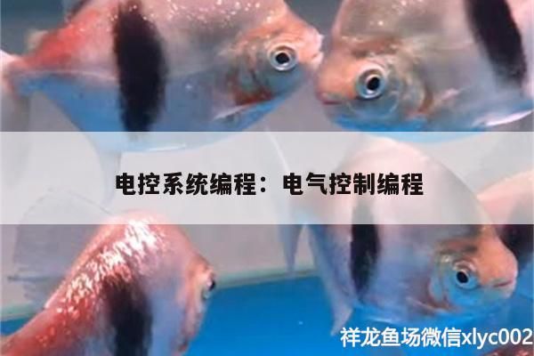 電控系統編程:電氣控制編程 電控系統編程:電氣控制編程 錦鯉魚百科 第2張
