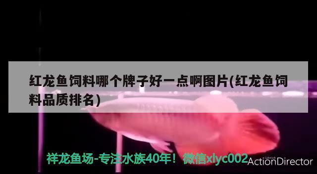 德國進口魚缸過濾器品牌（ 德國進口過濾器有哪些）
