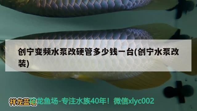 創寧變頻水泵改硬管多少錢一臺(創寧水泵改裝)