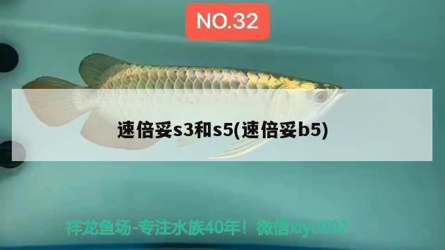 速倍妥s3和s5(速倍妥b5)