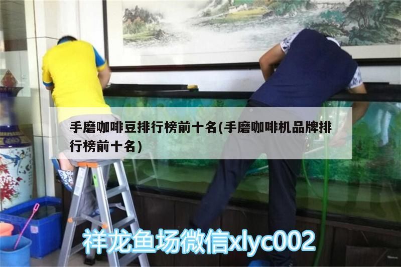 魚缸過(guò)濾器選購(gòu)指南:自制魚缸過(guò)濾器魚缸上置過(guò)濾器對(duì)于養(yǎng)魚愛好者的必備知識(shí) 手磨咖啡豆排行榜前十名(手磨咖啡機(jī)品牌排行榜前十名) 馬來(lái)西亞咖啡 手磨咖啡豆排行榜前十名(手磨咖啡機(jī)品牌排行榜前十名) 手磨咖啡豆排行榜前十名(手磨咖啡機(jī)品牌排行榜前十名) 馬來(lái)西亞咖啡