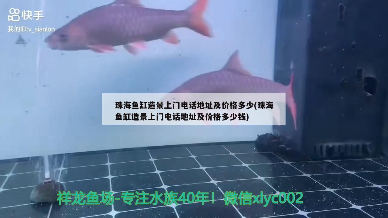 珠海魚缸造景上門電話地址及價格多少(珠海魚缸造景上門電話地址及價格多少錢)