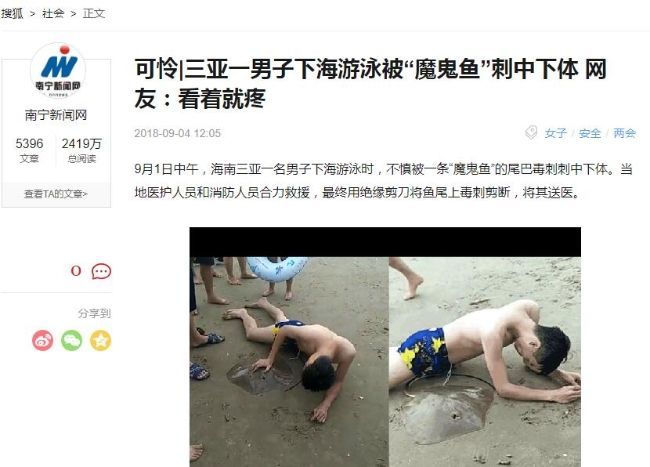 魟魚掉刺代表什么生肖動物：\"魟魚掉刺代表什么生肖動物\" 魟魚掉刺代表什么生肖動物：\"魟魚掉刺代表什么生肖動物\" 魟魚百科 第1張