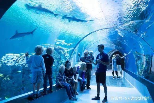 適合水族館的名字大全:水族館名字大全 水族館百科(水族館加盟) 第5張 適合水族館的名字大全:水族館名字大全 適合水族館的名字大全:水族館名字大全 水族館百科(水族館加盟) 第5張