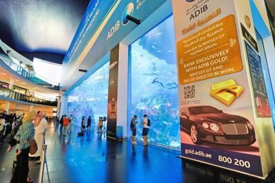 水族館一年能賺多少錢人民幣啊圖片（水族館一年能賺多少錢人民幣水族館一年能賺多少錢） 水族館一年能賺多少錢人民幣啊圖片（水族館一年能賺多少錢人民幣水族館一年能賺多少錢） 水族館百科（水族館加盟） 第4張