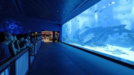 水族館一年能賺多少錢人民幣啊圖片（水族館一年能賺多少錢人民幣水族館一年能賺多少錢） 水族館一年能賺多少錢人民幣啊圖片（水族館一年能賺多少錢人民幣水族館一年能賺多少錢） 水族館百科（水族館加盟） 第5張