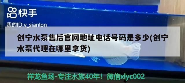 創寧水泵售后官網地址電話號碼是多少(創寧水泵代理在哪里拿貨)