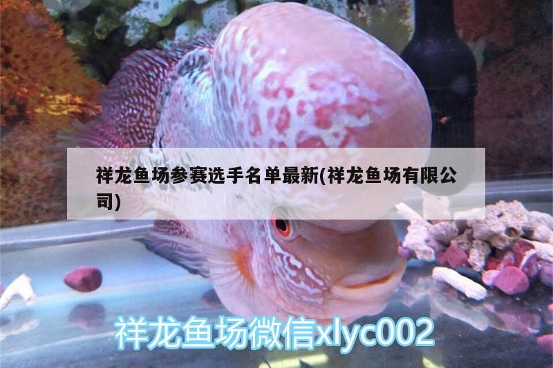 祥龍魚場參賽選手名單最新(祥龍魚場有限公司) 祥龍魚場參賽選手名單最新(祥龍魚場有限公司) vs祥龍魚場