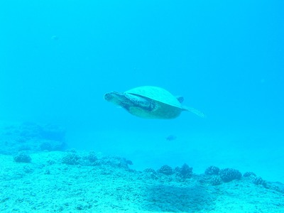 鄭州金龍魚食品廠怎么樣呀知乎：鄭州金龍魚食品廠深度剖析，品質、生產與員工體驗全解讀