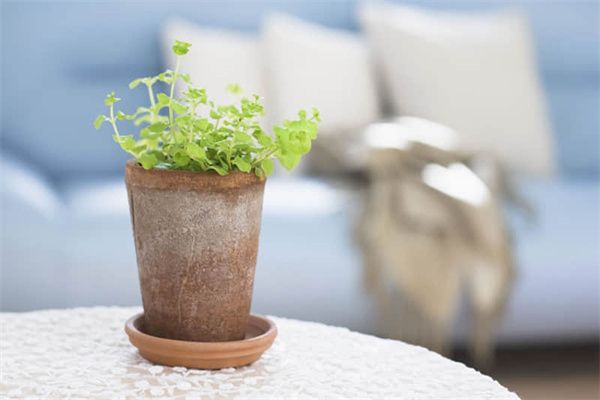 鄭州金龍魚食品廠怎么樣呀知乎：鄭州金龍魚食品廠深度剖析，品質、生產與員工體驗全解讀