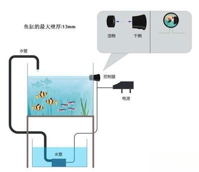魚缸水泵轉動不抽水，魚缸水泵轉動不抽水怎么辦