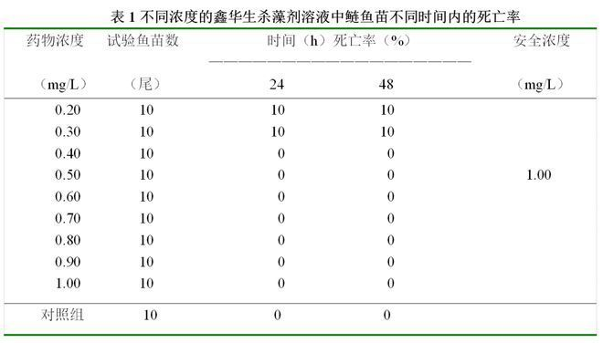 正宗金龍魚膠絲圖片及價格大全：探尋正宗金龍魚膠絲，圖片、價格與品質解析