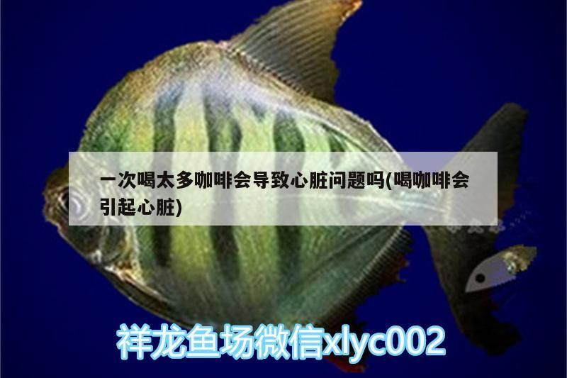 一次喝太多咖啡會導致心臟問題嗎(喝咖啡會引起心臟)