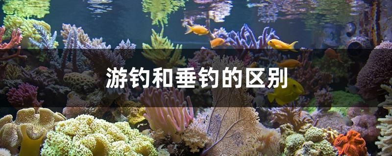 游釣和垂釣的區別 游釣和垂釣的區別 銀龍魚百科