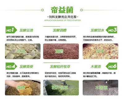 最好養(yǎng)的淡水觀賞魚，新手入門的最佳選擇，新手必養(yǎng)！10種最好養(yǎng)的淡水觀賞魚推薦