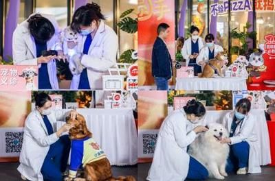 珍珠龍魚(yú)價(jià)格走勢(shì)圖分析最新：珍珠龍魚(yú)價(jià)格走勢(shì)圖背后的市場(chǎng)密碼與養(yǎng)殖風(fēng)云