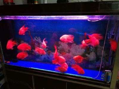 自坐財庫的15個日柱，財富穩固的命理特征，自坐財庫的15個日柱解析，財富穩固的命理特征