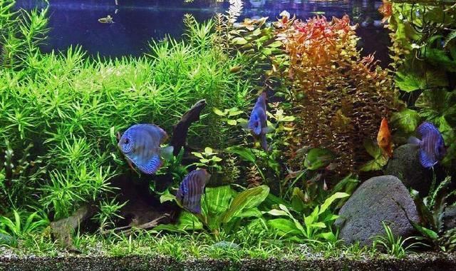 自己在家怎么檢測水質？5種簡單實用的方法，5種簡單實用的家庭水質檢測方法