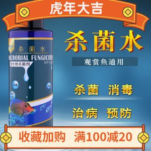浙江龍魚產地是哪里的魚類：探尋浙江龍魚產地，神秘水域孕育的瑰寶