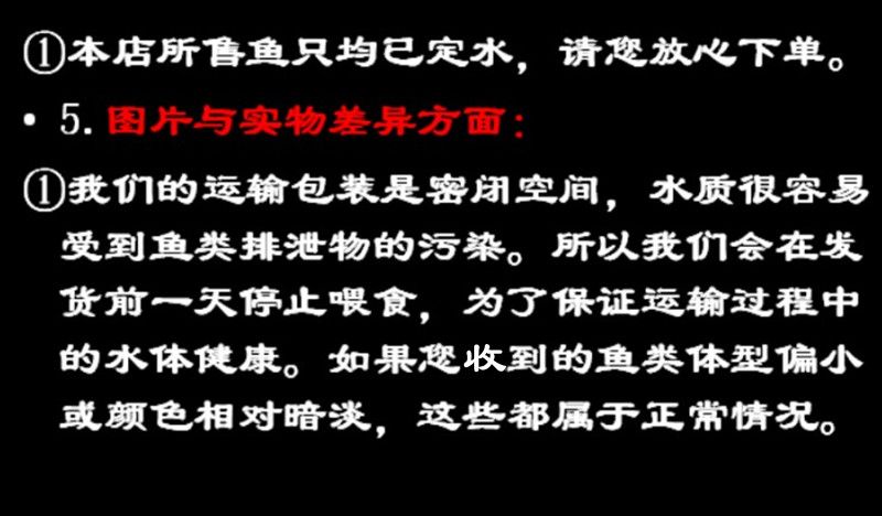 專業養魚咨詢，從入門到精通的全面指南，專業養魚全攻略，從入門到精通一站式指南