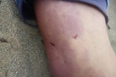 祝福語中所表達的美好愿望，情感傳遞與文化意蘊，祝福語中的美好愿望、情感傳遞與文化意蘊探析