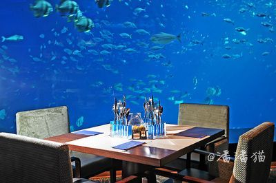 水族館生意怎么樣好做嗎現在：水族館自營旗艦店如何開設 水族館生意怎么樣好做嗎現在：水族館自營旗艦店如何開設 水族館百科（水族館加盟） 第2張