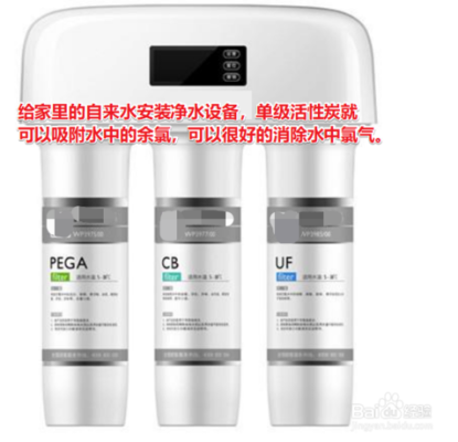 中國最貴10大名魚，珍稀美味背后的天價傳奇，中國最貴10大名魚，珍稀美味背后的天價傳奇