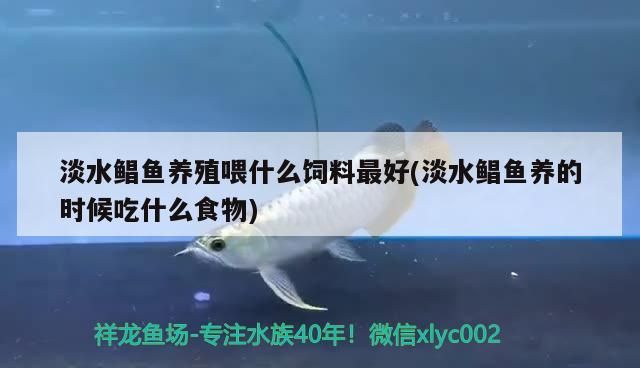魚缸用增氧泵價格是多少:魚缸增氧機-xtrac增氧機-xtrac增氧機 淡水鯧魚養(yǎng)殖喂什么飼料最好(淡水鯧魚養(yǎng)的時候吃什么食物) 九鼎魚缸 淡水鯧魚養(yǎng)殖喂什么飼料最好(淡水鯧魚養(yǎng)的時候吃什么食物) 淡水鯧魚養(yǎng)殖喂什么飼料最好(淡水鯧魚養(yǎng)的時候吃什么食物) 九鼎魚缸