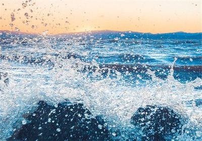 中國十大高檔級觀賞魚，品種、鑒賞與養殖指南，中國十大高檔觀賞魚，品種鑒賞與養殖全攻略