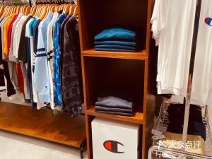 中國名貴魚第一名，長江刀魚的傳奇與現狀，長江刀魚，中國名貴魚之首的傳奇興衰與生存現狀 中國名貴魚第一名，長江刀魚的傳奇與現狀，長江刀魚，中國名貴魚之首的傳奇興衰與生存現狀 龍魚百科 第3張