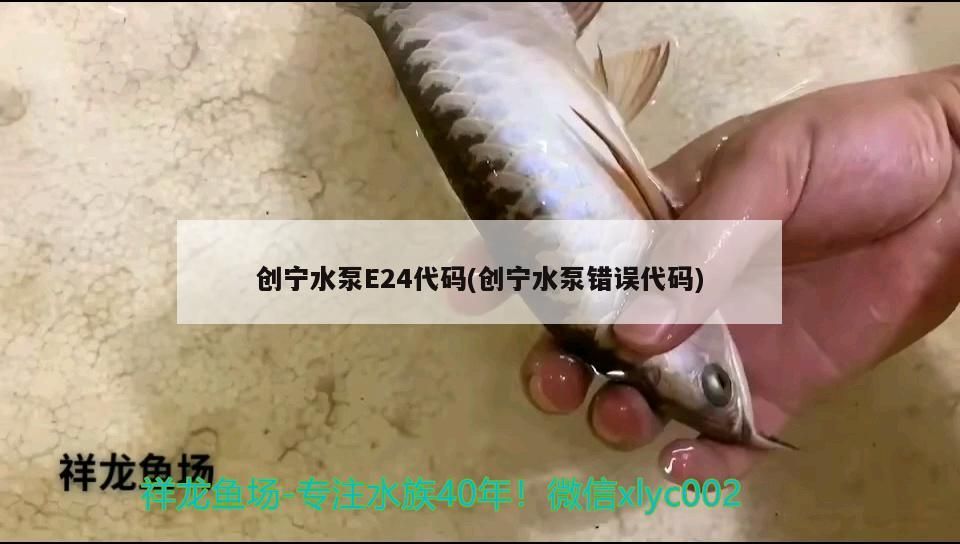 創寧水泵E24代碼(創寧水泵錯誤代碼)