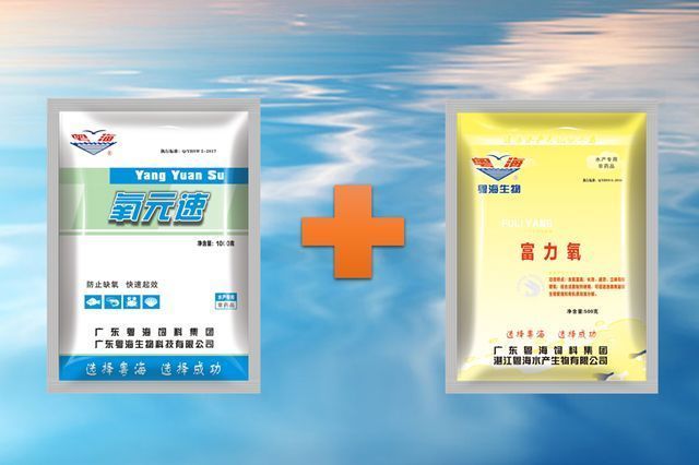 龍巔商城拍賣上線龍魚之家好魚搶拍