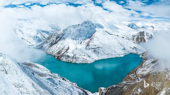 豬鼻龜生蛋需要受精嗎視頻:怎么判斷烏龜受沒受精 豬鼻龜百科 第1張 豬鼻龜生蛋需要受精嗎視頻:怎么判斷烏龜受沒受精 豬鼻龜生蛋需要受精嗎視頻:怎么判斷烏龜受沒受精 豬鼻龜百科 第1張