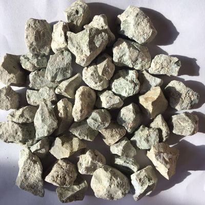 招財(cái)魚能和龍魚混養(yǎng)嗎圖片大全：招財(cái)魚與龍魚混養(yǎng)之探秘，可行與否及注意事項(xiàng)詳解