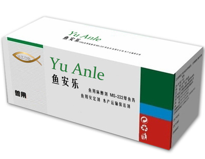 鎮(zhèn)宅青石一般埋多大的？深度解析風(fēng)水習(xí)俗與實用指南，鎮(zhèn)宅青石埋置尺寸與風(fēng)水講究全解析