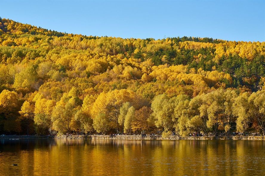 詳細(xì)閱讀:印尼小紅龍魚怎么挑選品種的視頻教學(xué) 印尼小紅龍發(fā)色是什么樣的 印尼小紅龍魚怎么挑選品種的視頻教學(xué) 印尼小紅龍發(fā)色是什么樣的