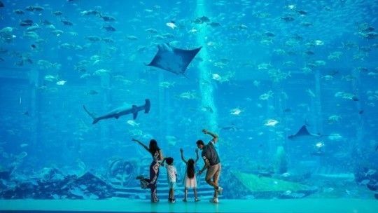 三亞亞特水族館簡介：三亞亞特蘭蒂斯失落的空間水族館