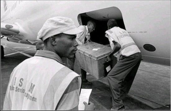 鎮(zhèn)宅第一名綠植，富貴竹的風(fēng)水奧秘與養(yǎng)護指南，富貴竹，鎮(zhèn)宅綠植的風(fēng)水奧秘與養(yǎng)護全攻略