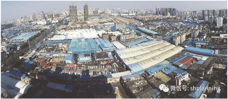 鎮(zhèn)宅擋煞的最厲害的樹，風(fēng)水寶樹的神奇力量，鎮(zhèn)宅擋煞第一樹，揭秘風(fēng)水寶樹的神奇力量 鎮(zhèn)宅擋煞的最厲害的樹，風(fēng)水寶樹的神奇力量，鎮(zhèn)宅擋煞第一樹，揭秘風(fēng)水寶樹的神奇力量 龍魚百科 第2張