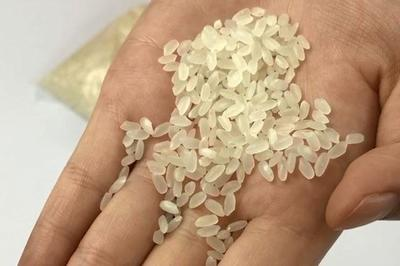 鎮宅擋煞最厲害的花，風水大師推薦的10種靈性植物，風水大師力薦，10種鎮宅擋煞最靈性的植物 鎮宅擋煞最厲害的花，風水大師推薦的10種靈性植物，風水大師力薦，10種鎮宅擋煞最靈性的植物 龍魚百科 第2張