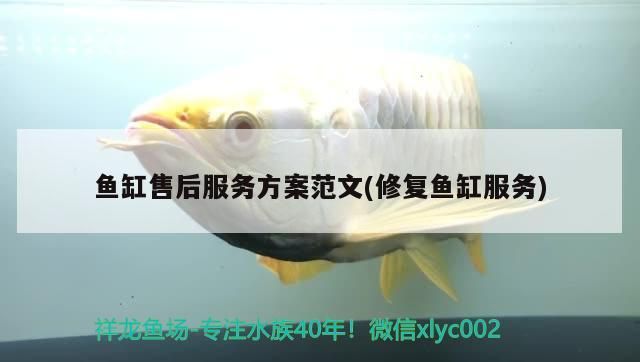 昆明二手魚缸交易市場在哪里啊電話（昆明市魚缸魚批發市場在哪里）