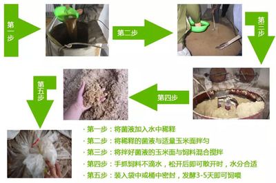 招財魚死了可以扔掉嗎？如何處理死去的招財魚？招財魚死后如何處理？能否直接丟棄？