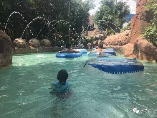 招財魚和龍魚混養(yǎng)行不行：招財魚與龍魚混養(yǎng)，打造水族箱中的和諧共生之美