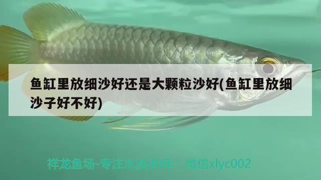 孟吉爾萬吉日常更新