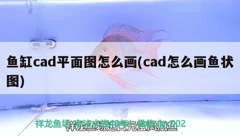 魚缸用增氧泵價格是多少:魚缸增氧機(jī)-xtrac增氧機(jī)-xtrac增氧機(jī) 魚缸cad平面圖怎么畫(cad怎么畫魚狀圖) 元寶鳳凰魚百科 魚缸cad平面圖怎么畫(cad怎么畫魚狀圖) 魚缸cad平面圖怎么畫(cad怎么畫魚狀圖) 元寶鳳凰魚百科