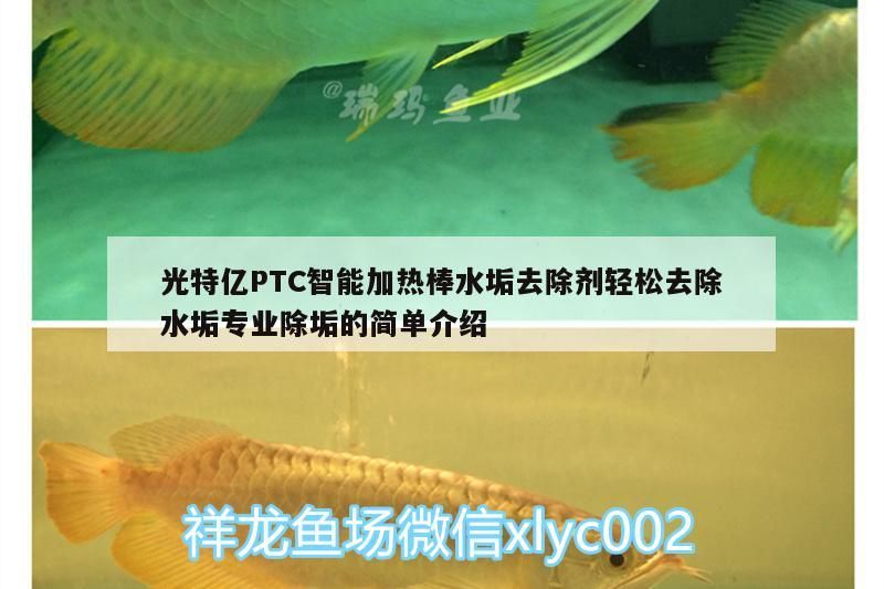 光特億PTC智能加熱棒水垢去除劑輕松去除水垢專業(yè)除垢的簡單介紹