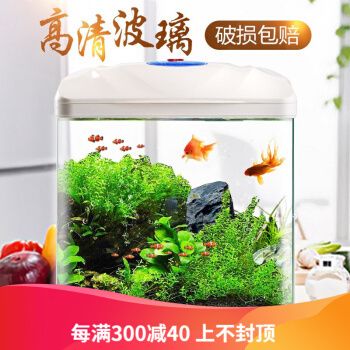 光特億的東西怎么樣（光特億產品怎么樣）